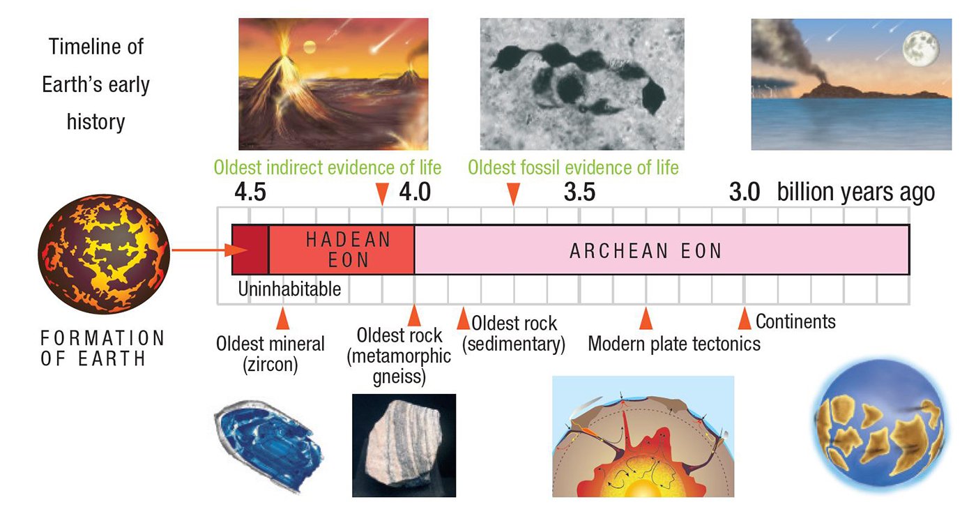 earth life timeline